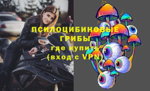 apvp Балахна