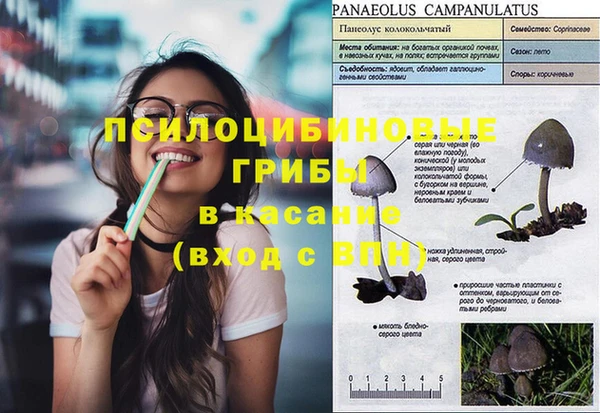 apvp Балахна