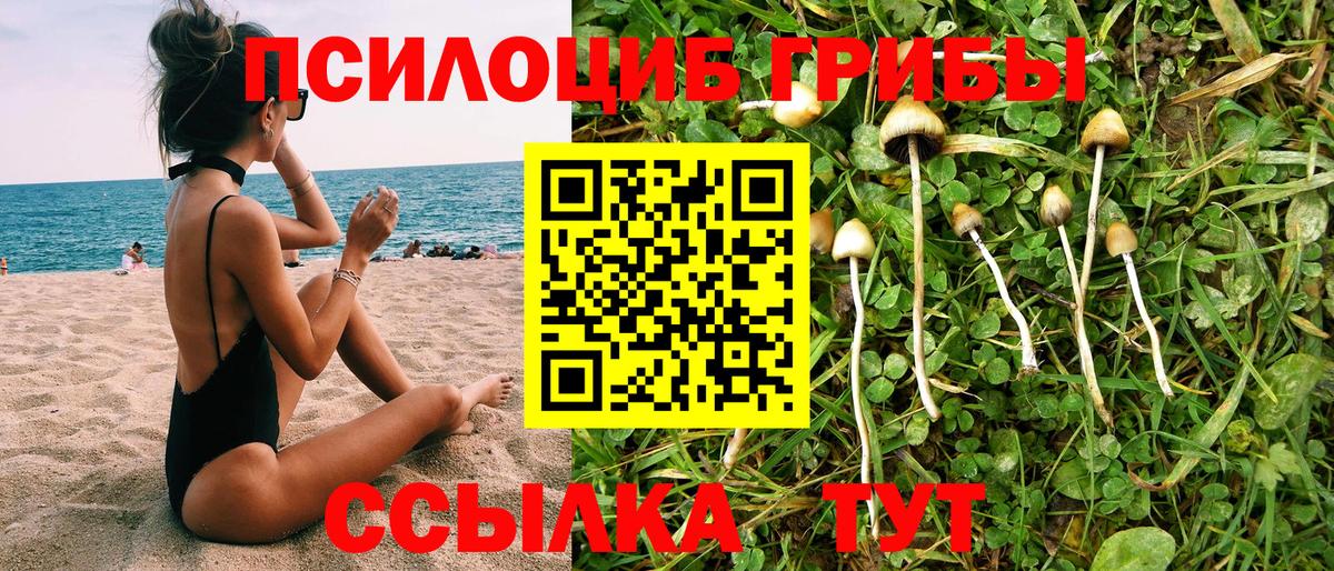Псилоцибиновые грибы MAGIC MUSHROOMS  Вход с VPN  Галлюциногенные грибы GOLDEN TEACHER  Борисоглебск 