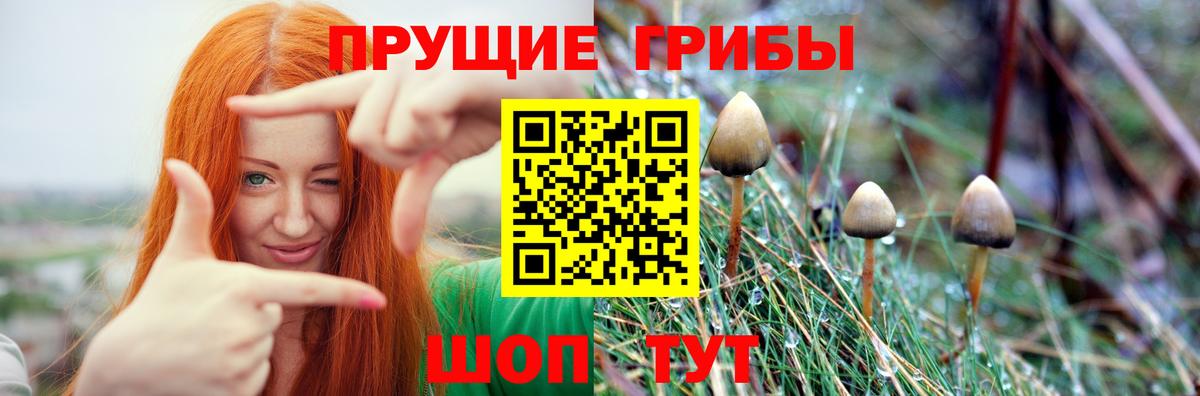 Псилоцибиновые грибы MAGIC MUSHROOMS Борисоглебск
